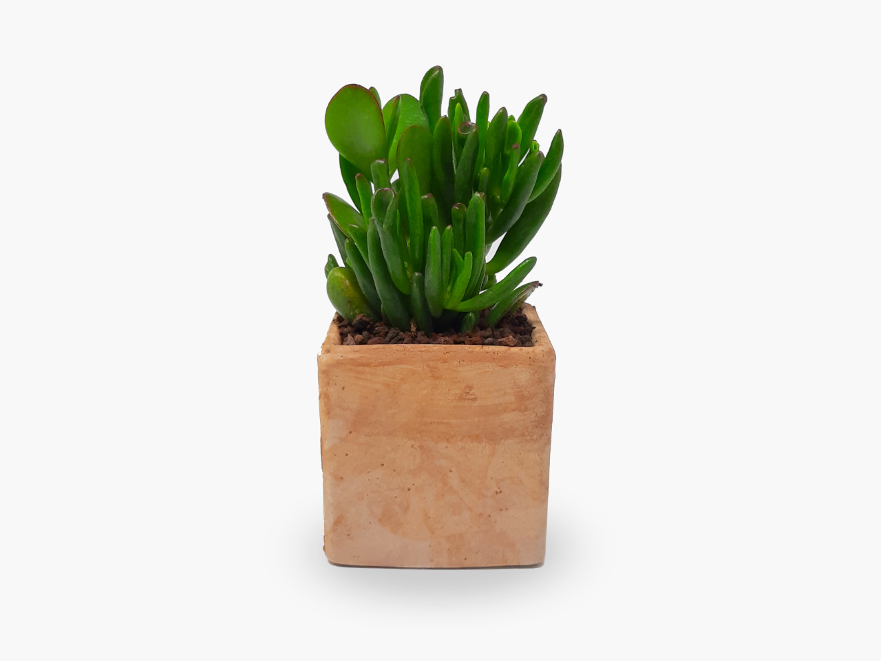Cubo 10