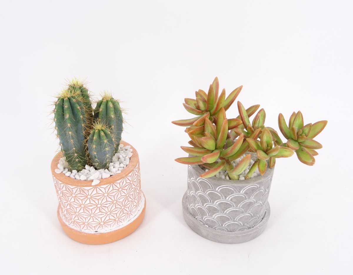 Vaso Anna 9 cm